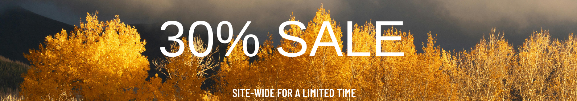 Autumnal landscape with trees and a '30% Sale' banner overlay.